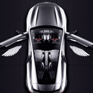 Angel Wing Car Door Lights